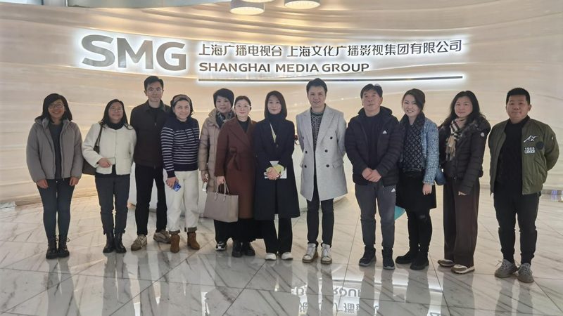 媒介投放策略制定代理：揭秘内容传播的幕后推手**